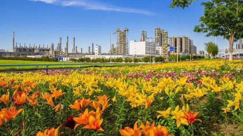 无机化工原料环保法规：最新动态与合规要点**