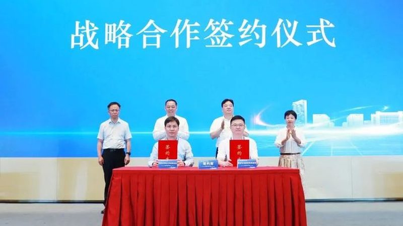 食品添加剂化工产品安全等级：揭秘其背后的标准与选择